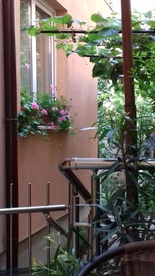 Guest House Nedelchevi 普里莫尔斯科 外观 照片