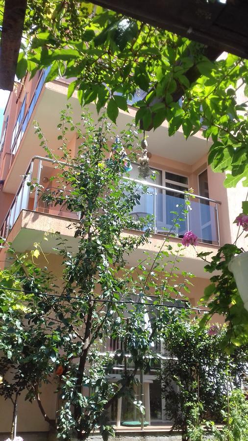 Guest House Nedelchevi 普里莫尔斯科 外观 照片